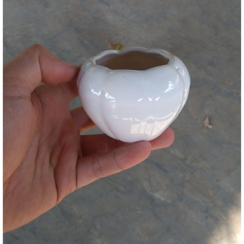 Chậu trồng cây cảnh mini: mẫu sứ tròn nhỏ (màu ngẫu nhiên)