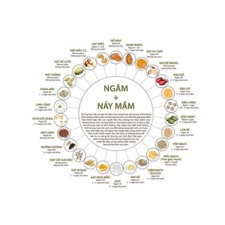 (Tách lẻ) Yến mạch cán mỏng hữu cơ Markal 2022