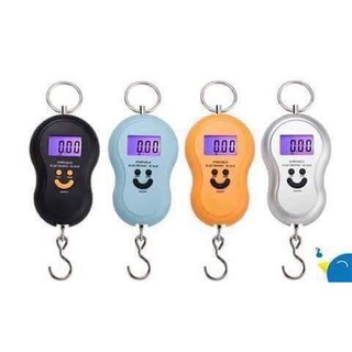 CÂN ĐIỆN TỬ MINI CẦM TAY