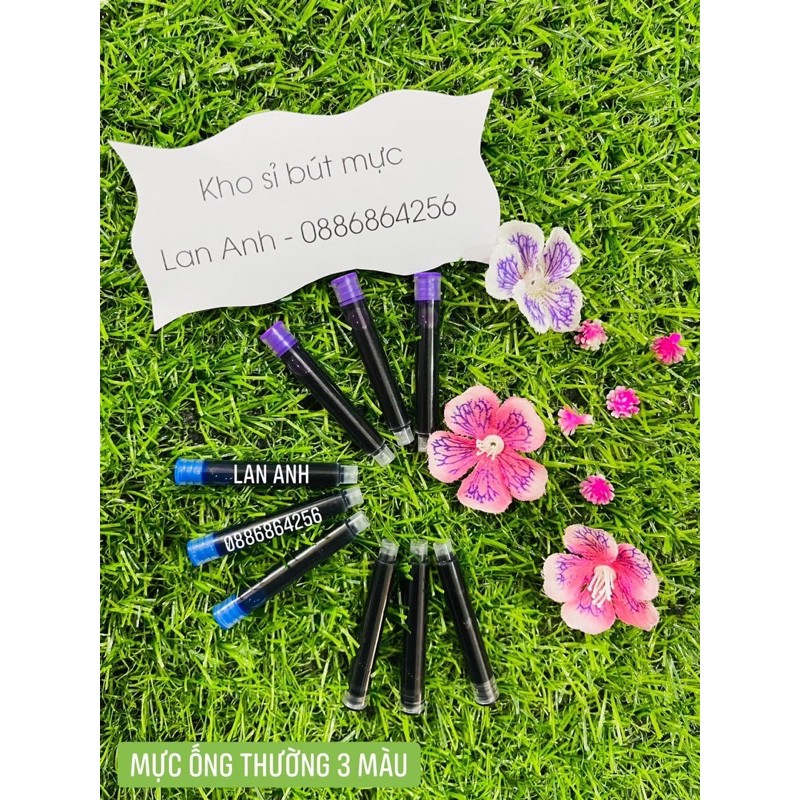 Mực ống thường size to