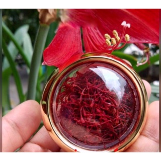 Nhuỵ hoa nghệ tây vụn ( saffron)