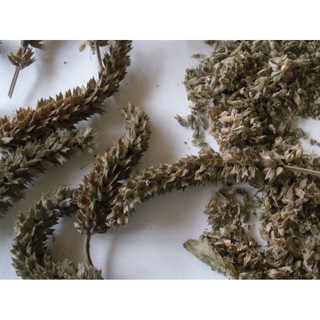 HẠT GIỐNG HẠT CHIA ÚC - 1,5Gram/ gói (~ 1000 hạt)