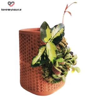 Chậu Gốm Trồng Cây Có Lỗ Thoát Nước
