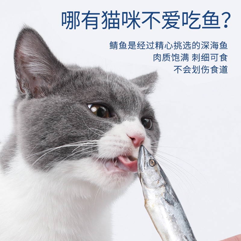 Cá Biển Hấp cho mèo - Nguyên con cá