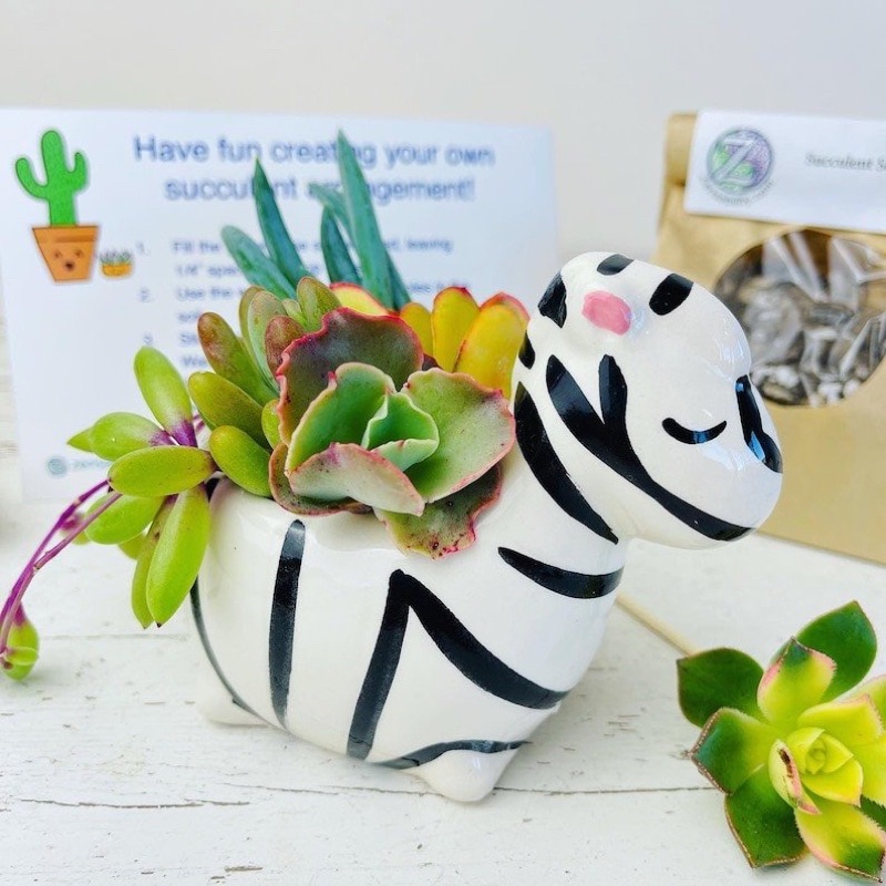 Nến thơm hình thù các con vật