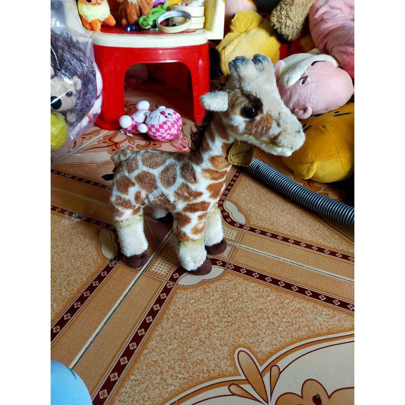 gấu si giá rẻ