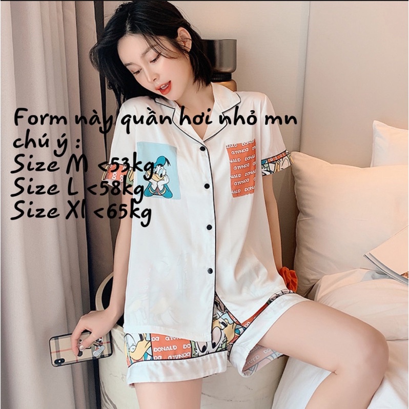 Bộ đồ pijama lụa cộc tay cao cấp ❣️đồ bộ mặc nhà (tơ lụa Quảng Châu)