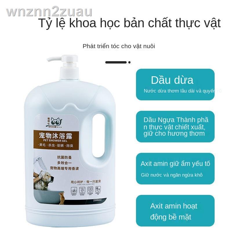 ❉▥Sữa tắm cho chó xô lớn cho thú cưng tắm chất lỏng khử trùng khử mùi chống ngứa cho mèo Teddy Golden Retriever cung cấp