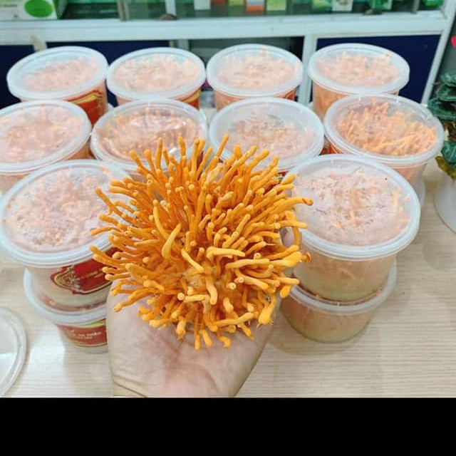 TPCN CAO CẤP KHỎE VIỆT HÀN