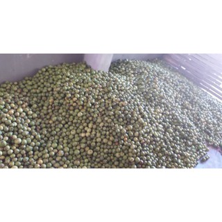 1kg táo mèo tươi