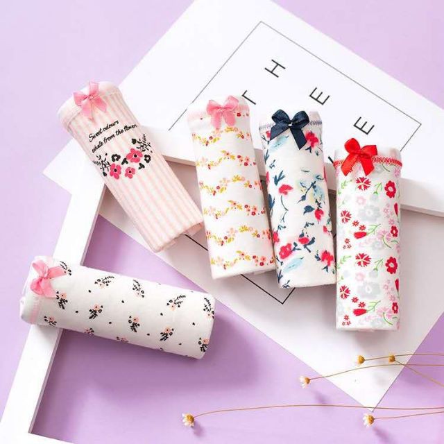 Set 5 quần cute túi zip cotton siêu mát cho mùa hè