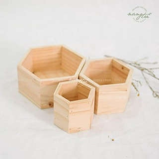 Chậu gỗ hình lục giác - Trồng hoa - Trang trí