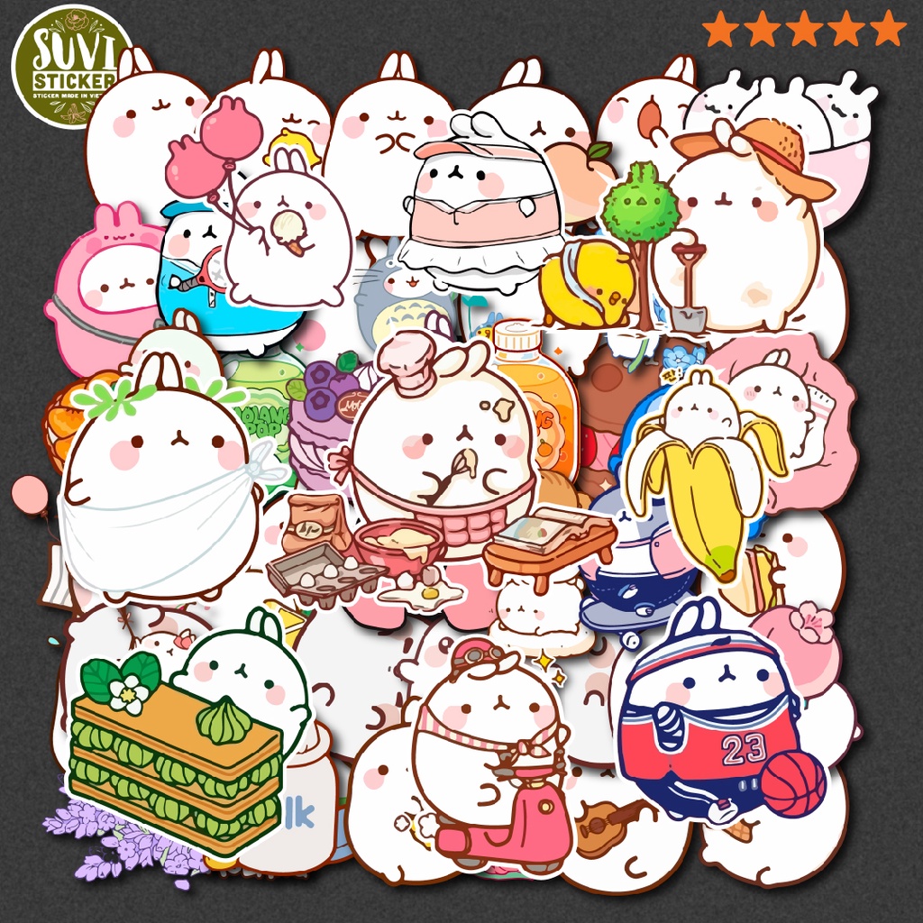 50 Sticker Thỏ Molang chống nước sticker dán mũ bảo hiểm, laptop, điện thoại, đàn guitar, vali. MSP: NS57