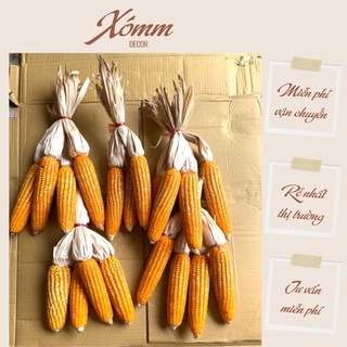 Trái bắp ngô khô, dây bắp decor trang trí tết , noel, quán cafe ,nhà cửa ( 1 bắp)