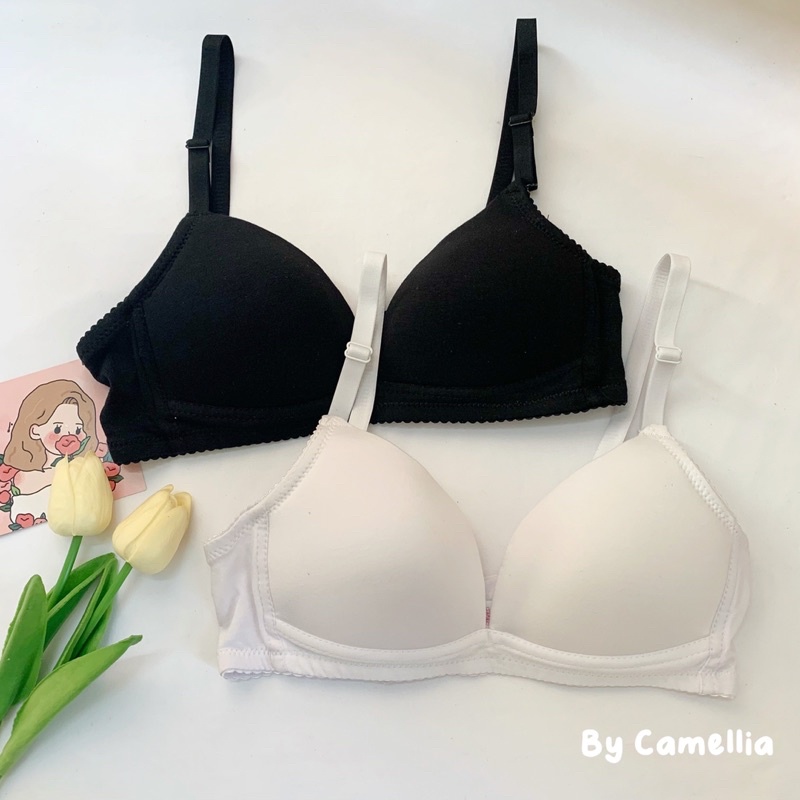 Áo lót cotton trơn không gọng cao cấp