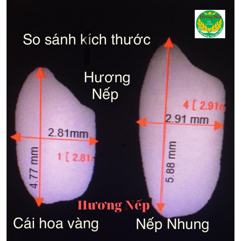 Gạo nếp nhung chuẩn sạch 100% - không chất bảo quản