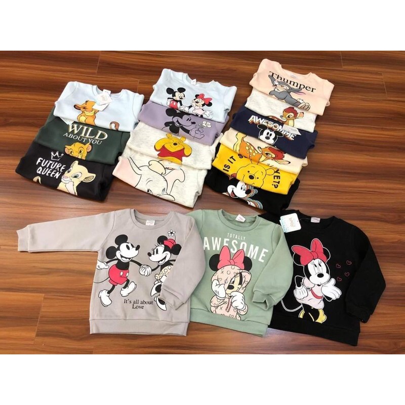 Áo nỉ bông Disey dư xịn