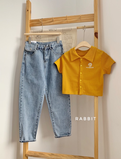 [Freeship đơn từ 0đ] [freeship-hình tự chụp- sẵn] Áo croptop thêu hoa cúc ngực_P89