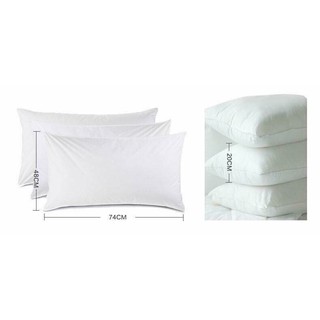 Cặp 2 ruột gối Hilton cao cấp