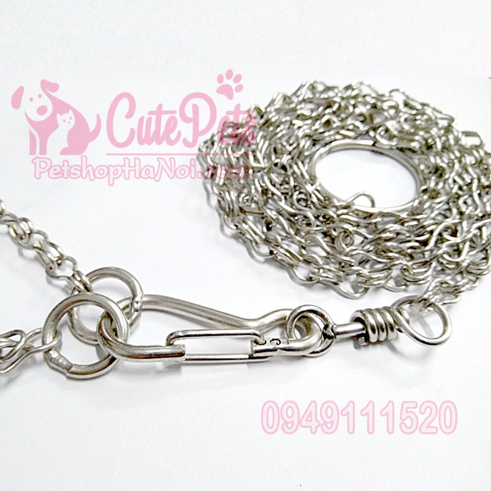 Dây xích inox kèm vòng cổ dành cho thú cưng nhỏ - CutePets Phụ kiện chó mèo Pet shop Hà Nội - Hàng nhập khẩu