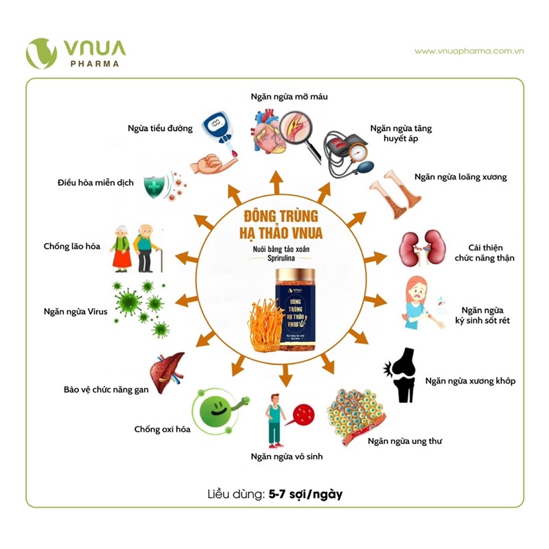 Đông Trùng Hạ Thảo Khô Cao Cấp từ tảo xoắn Spirulina hoopi 10g - Sản phẩm nghiên cứu của Học viện nông nghiệp Việt Nam