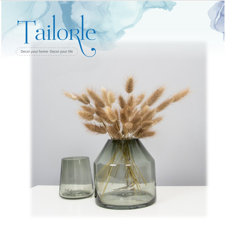 【TAILORLE】20 bông cỏ đuôi thỏ, cỏ lau Mỹ, Hoa khô decor chụp ảnh, trang trí bình gốm sứ, lọ thủy tinh