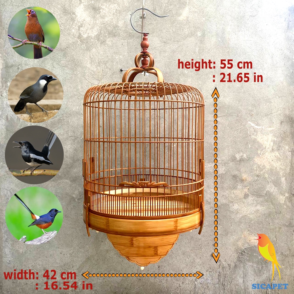 Lồng chim Khướu, chim Họa Mi, chim Chòe Than, chim Chào Mào, Lồng chim Chòe Than, Chim Chòe Lửa, Chim Chào Mào SICAPET