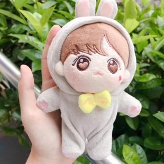 Pocket Kookie fullset doll fansite BTS 15cm