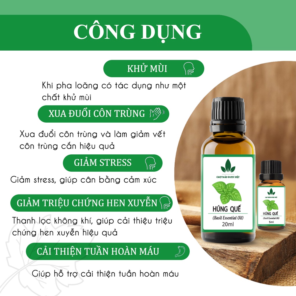 Tinh dầu Húng Quế 20ml, giảm đau đầu, cải thiện tuần hoàn máu, giúp ngủ ngon, đuổi muỗi, côn trùng - Chợ Thảo Dược Việt