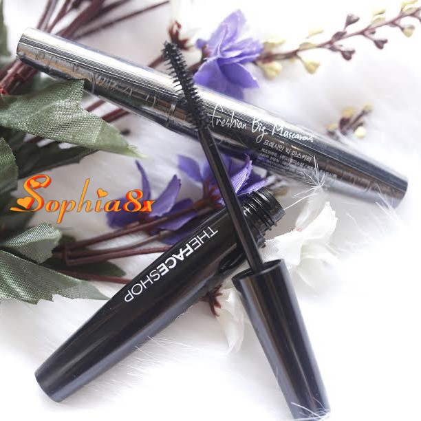 Mascara chuốt mi The Face Shop Freshian Big TFS làm dày và dai mi