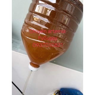 [ SALE 50% 100 sản phẩm đầu] 🐠 100Gr TRỨNG ARTEMIA PYGUPPY BAO NỞ.