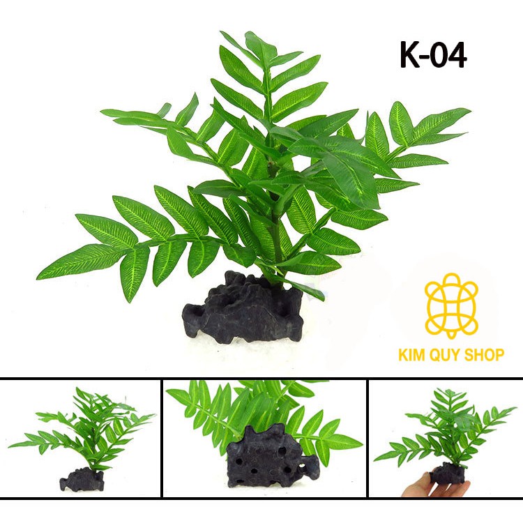 Cây trang trí cho chuồng bò sát