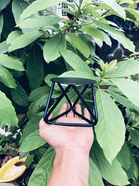 Kệ cây mini để bàn  dùng để bàn làm việc - bàn ăn cao 10cm