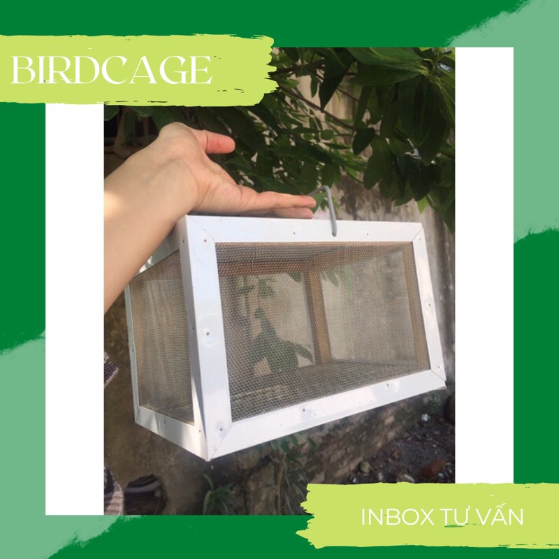 HỘP DỰNG DẾ,CHÂU CHẤU CÓ 2 SIZE TO VÀ NHỎ