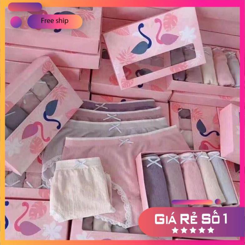 Set 5 Quần Lót Cotton Nữ In Hình Chim Hồng Hạc