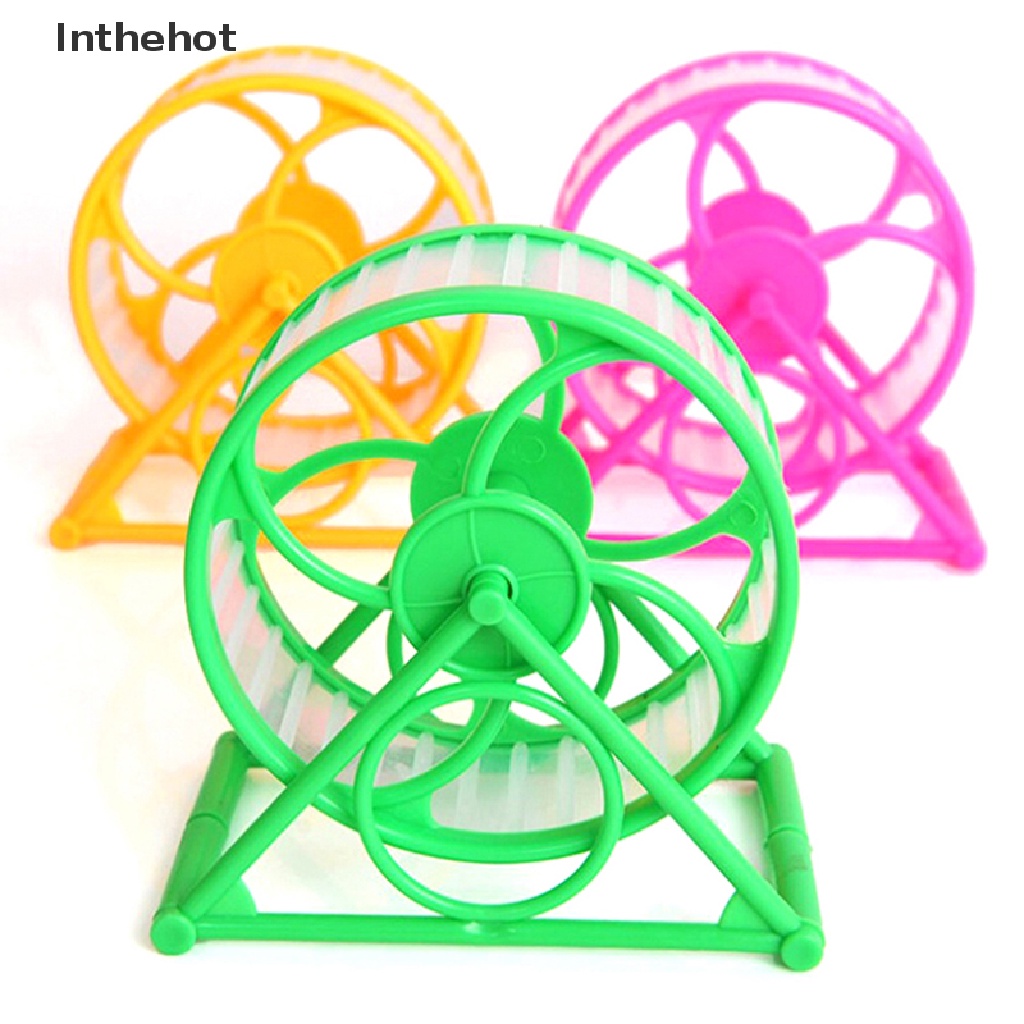 Chuột Hamster Chạy Bộ