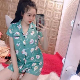 Combo 30 Bộ pizama  cộc đùi