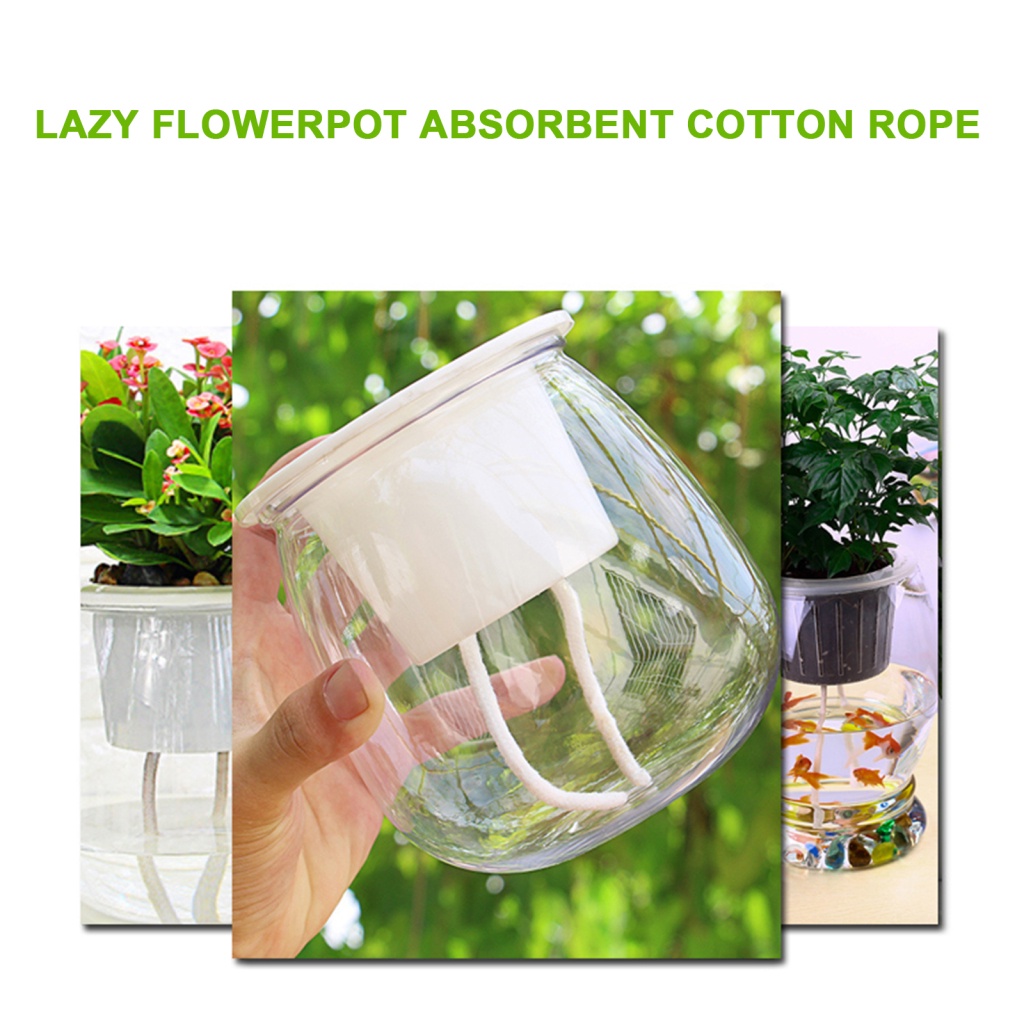 Dây Cotton Tự Tưới Nước Nhỏ Giọt Dài 10M Tiện Dụng DIY