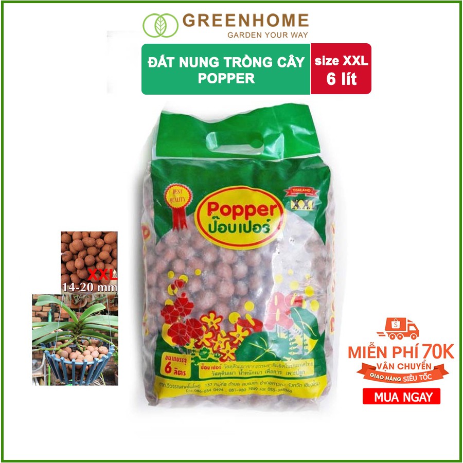 [MIỄN PHÍ VẬN CHUYỂN 70K]  Đất nung trồng Lan 6 lít Popper - Thailand size XXL 1,5 kg