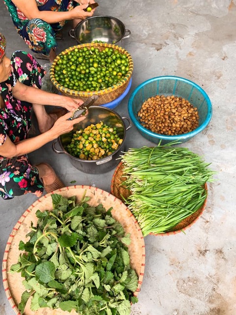 SIRO HO THẢO MỘC