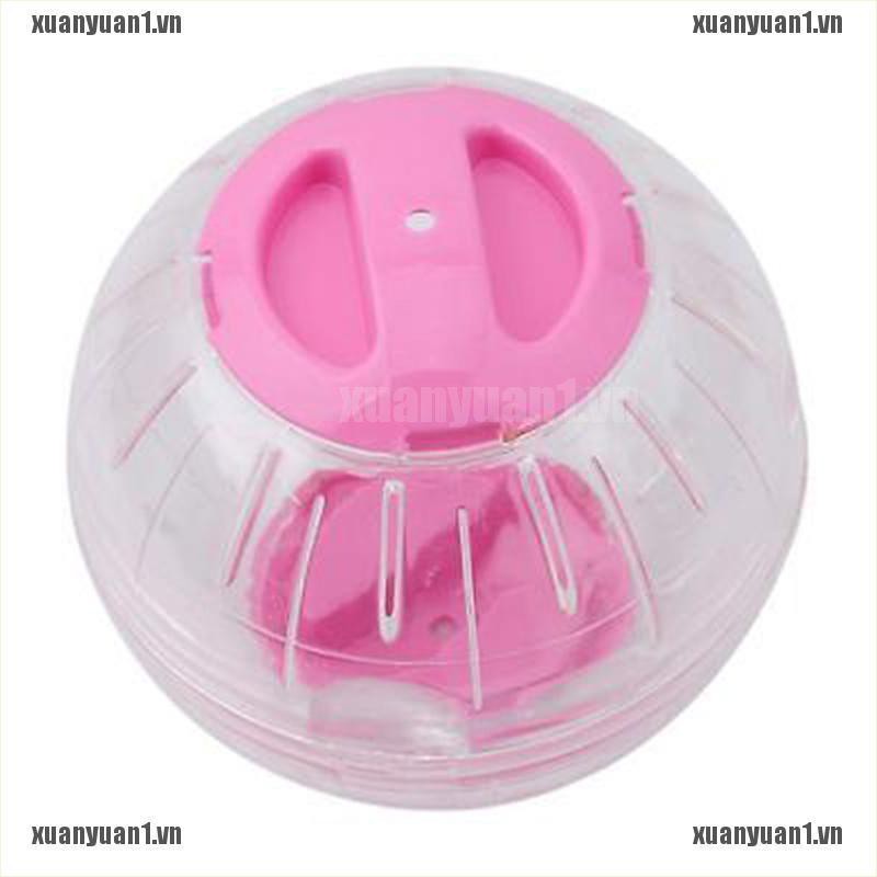 [XUANYUAN1] Quả Bóng Nhựa Đồ Chơi Cho Chuột Hamster