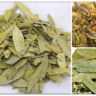 1 Kg Phan tả diệp khô nhuận tràng, hết lo táo bón
