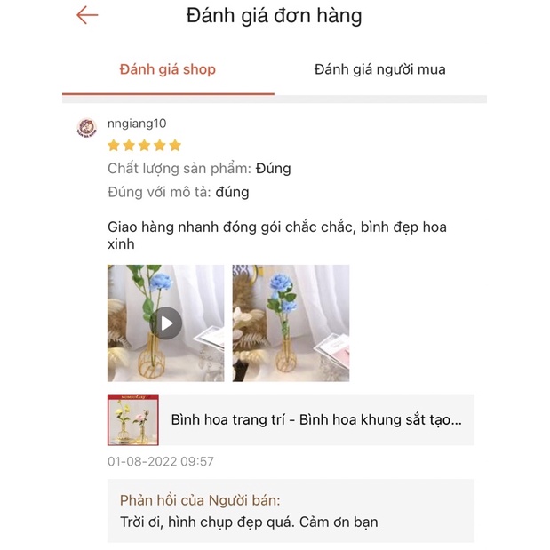 Bình hoa trang trí - Bình hoa khung sắt tạo hình độc đáo mã LS10 Momsukary