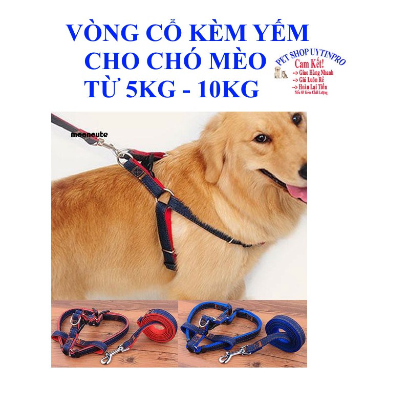 DÂY DẮT KÈM VÒNG CỔ DẠNG YẾM CHO THÚ CƯNG CHÓ MÈO Từ 5kg đến 10kg Chất liệu dù phủ lớp vải jean Bản rộng 1.5cm