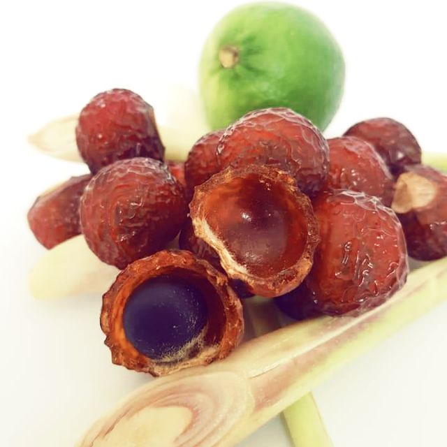 Quả bồ hòn