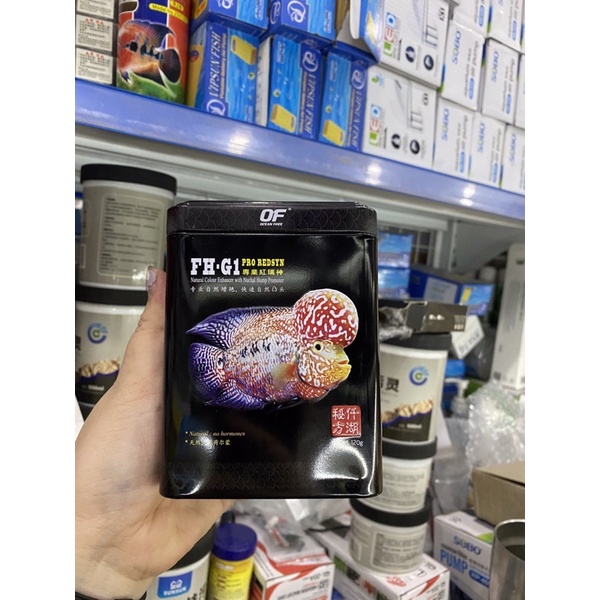 OF OCEAN FREE FH-G1 PRO REDSYN - Thức Ăn Giúp Cá La Hán Lên Màu Sắc Và Hoa Văn Đẹp