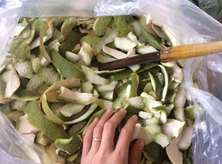 Tinh dầu bưởi dưỡng tóc dạng xịt