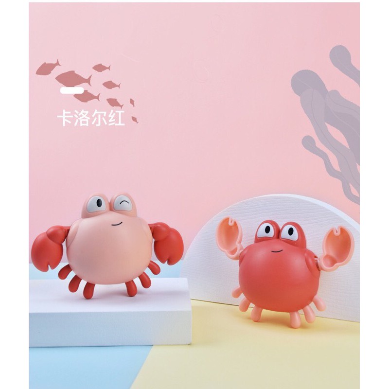 Rùa, vịt, cua, cá bơi chạy bằng cót cho bé