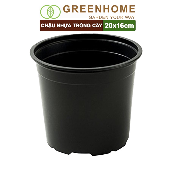 Chậu nhựa cứng, 20x16cm, trồng cây, hoa, kiểng lá, màu đen, thoát nước tốt, đa dạng kích thước |Greenhome