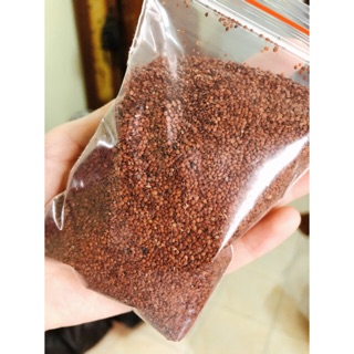 100g ngũ hoa hạt - đình lịch loại 1 handmade